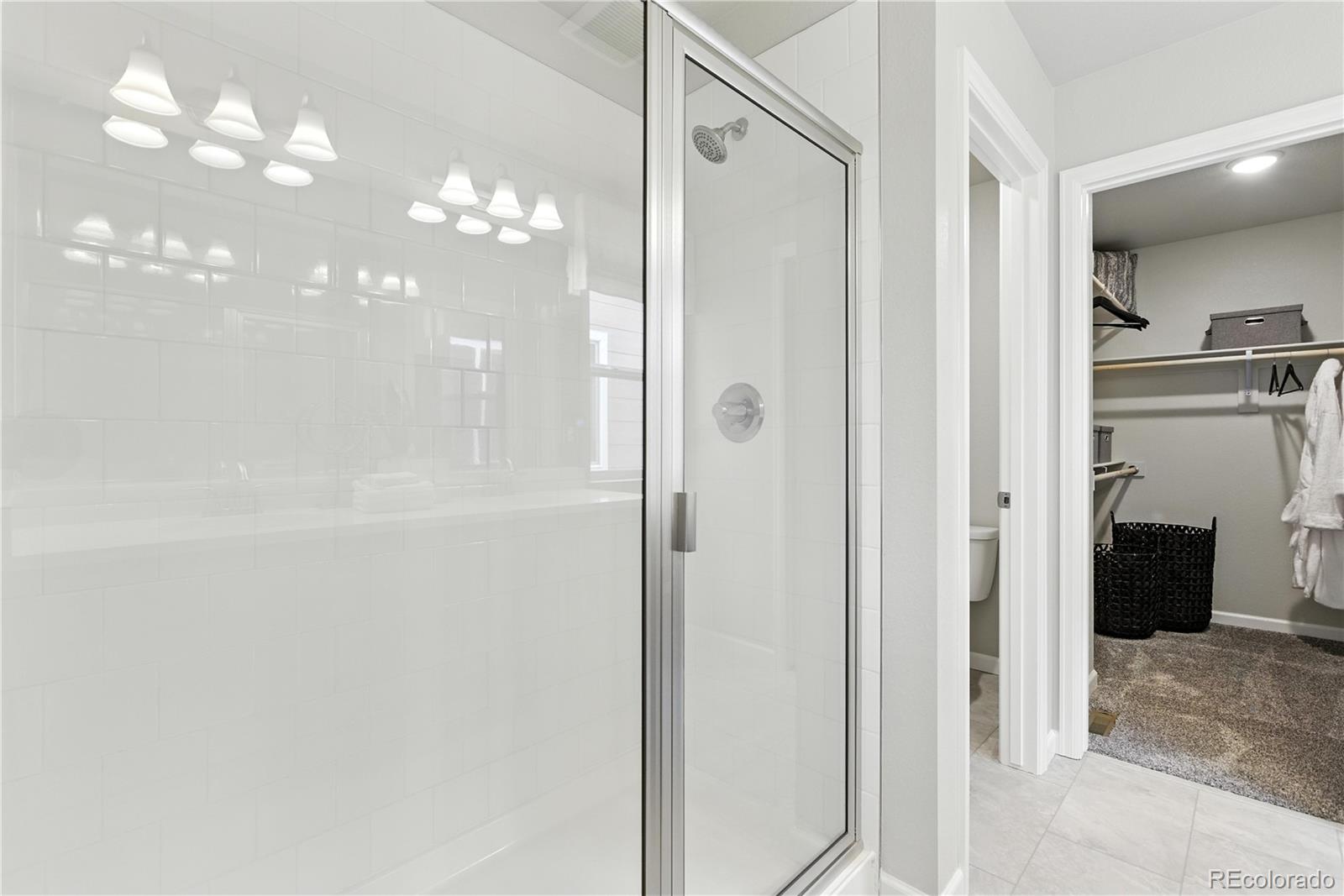 2379 Harlequin Place