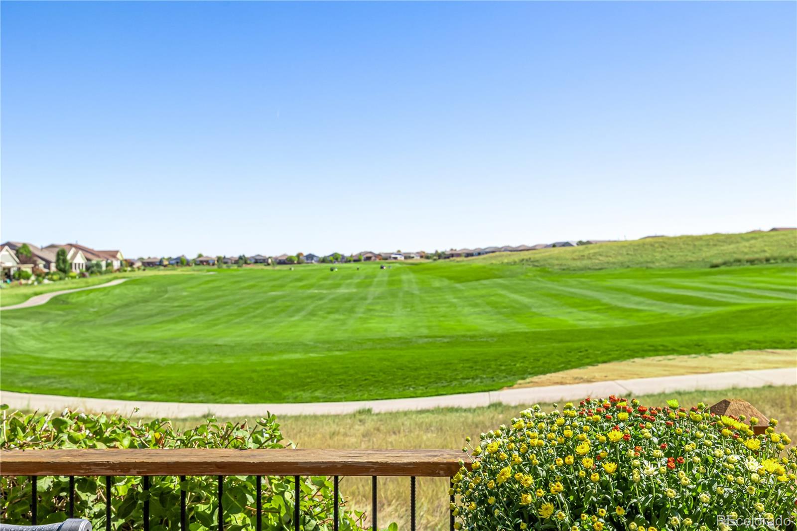 15054 Rosemary Street