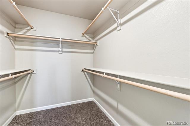 311 Shoveler Way