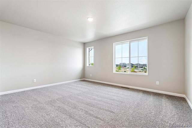311 Shoveler Way