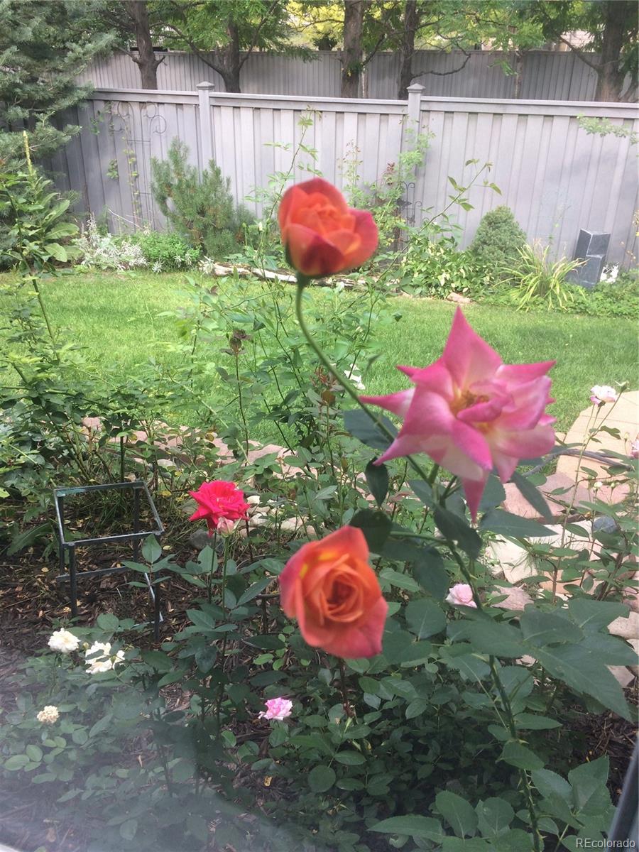 12652 S Silver Creek Court