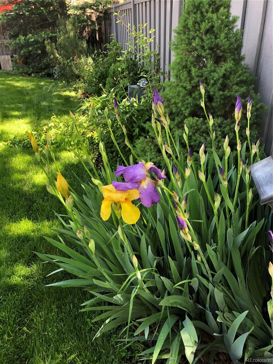 12652 S Silver Creek Court