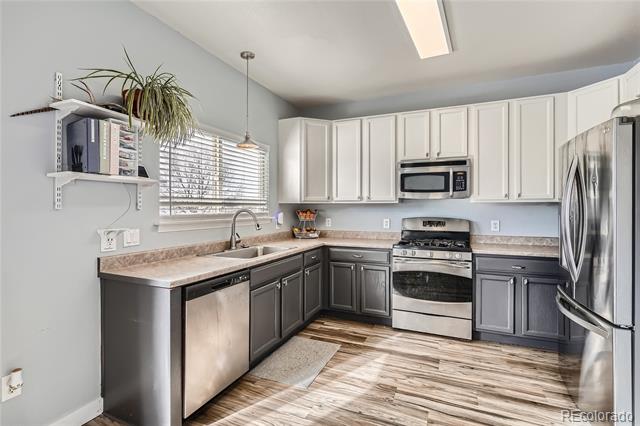 12460 S Hollow Creek Court