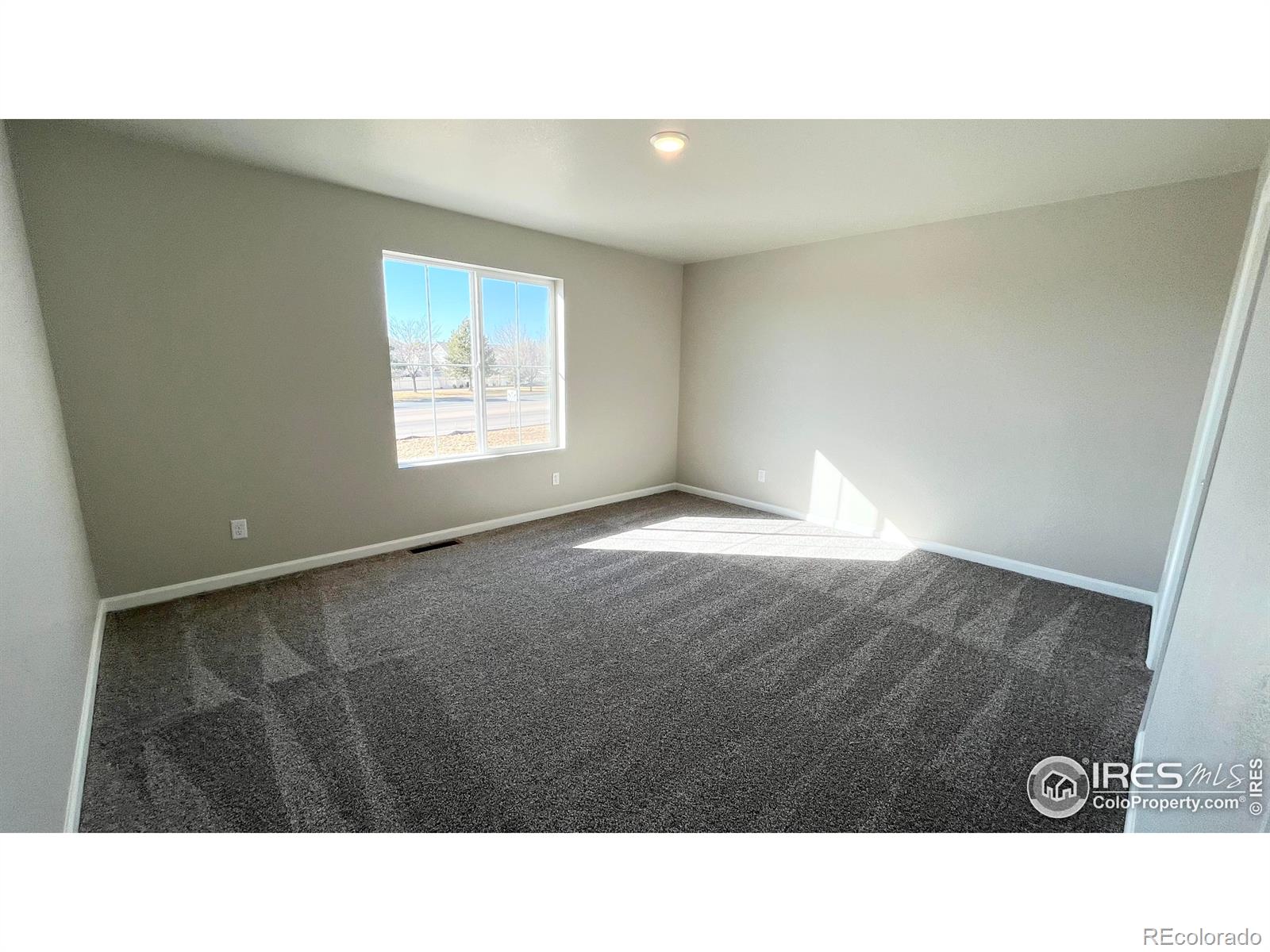 296 Scaup Lane