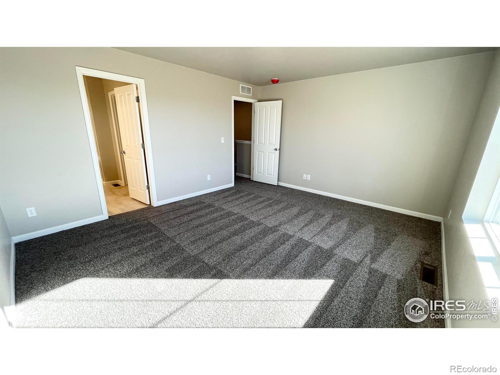 296 Scaup Lane