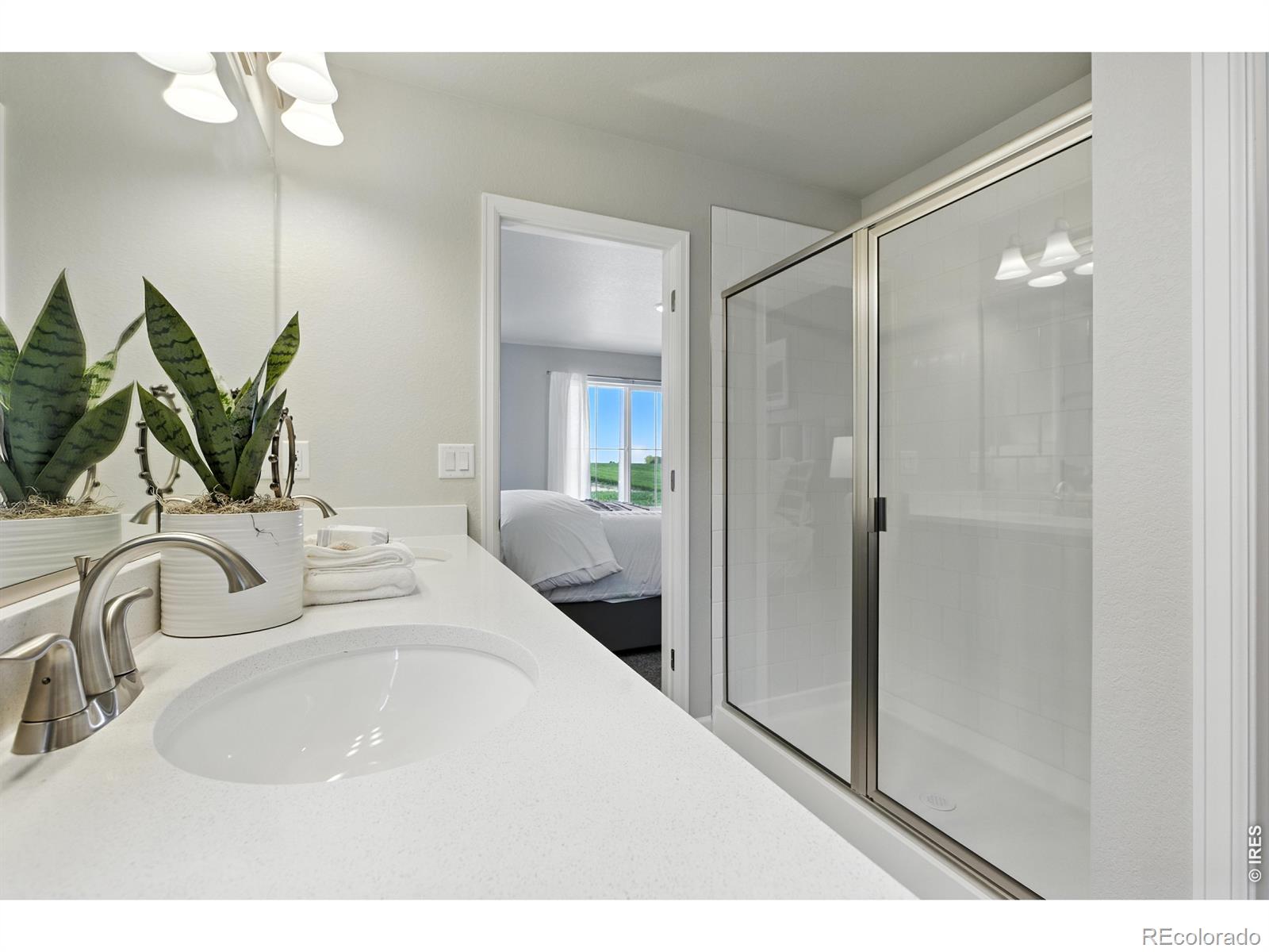 2379 Harlequin Place