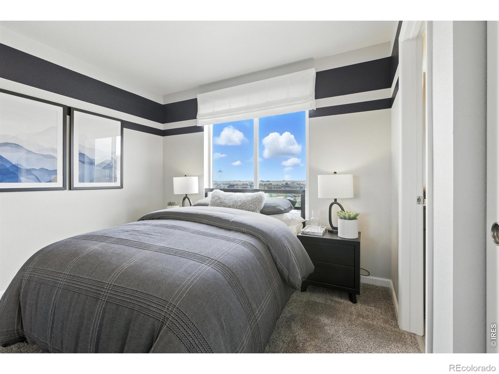 2379 Harlequin Place