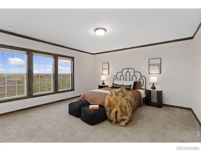 39771 County Road 80