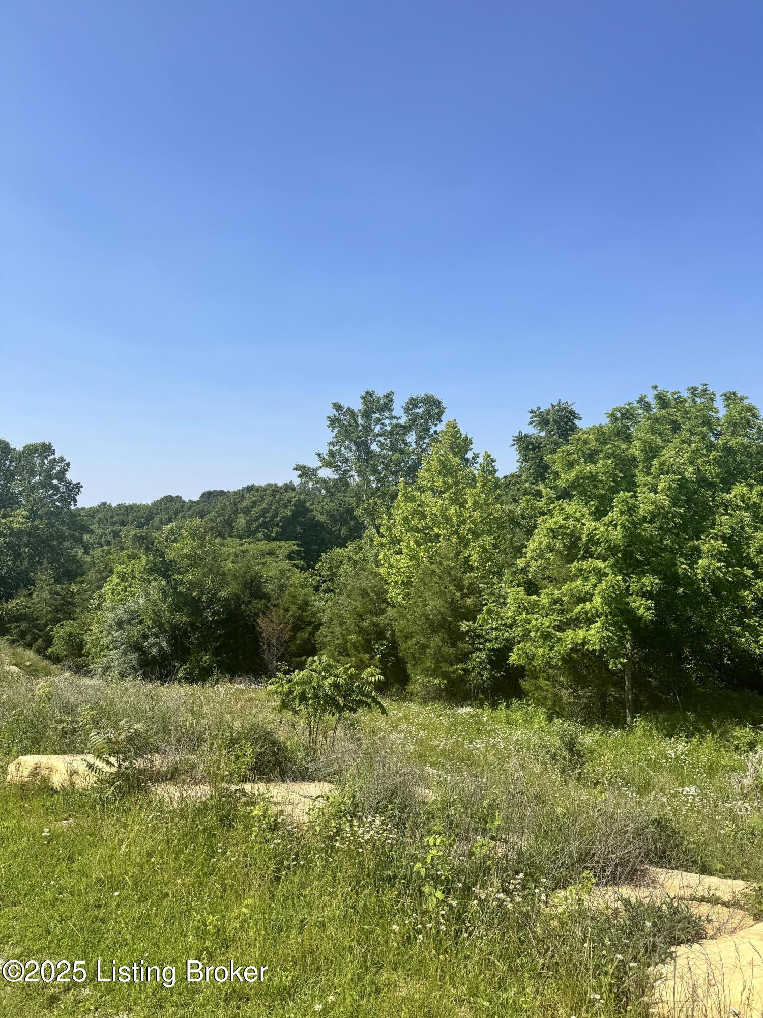 Lot 22 Meadowland Trail