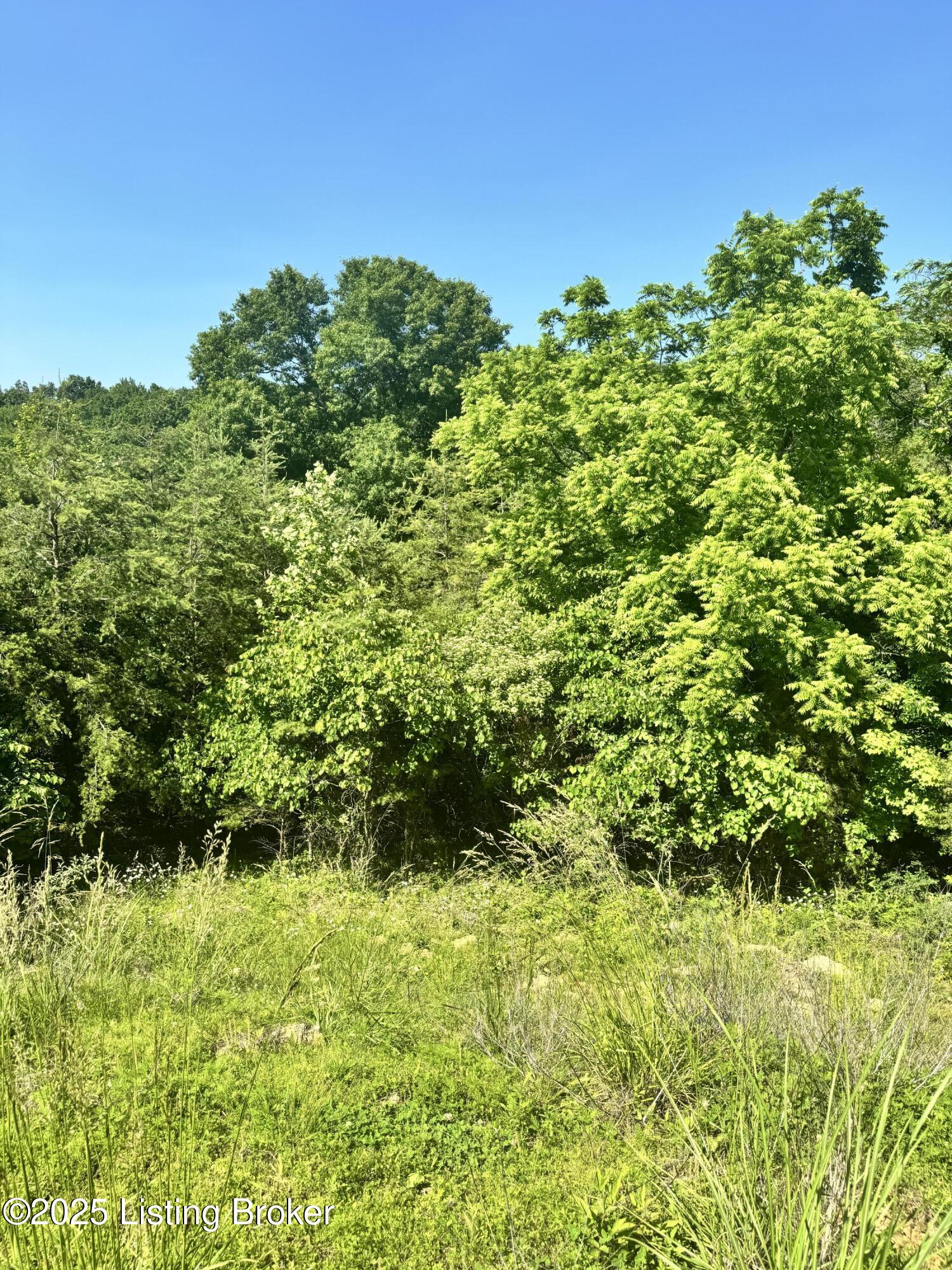 Lot 22 Meadowland Trail