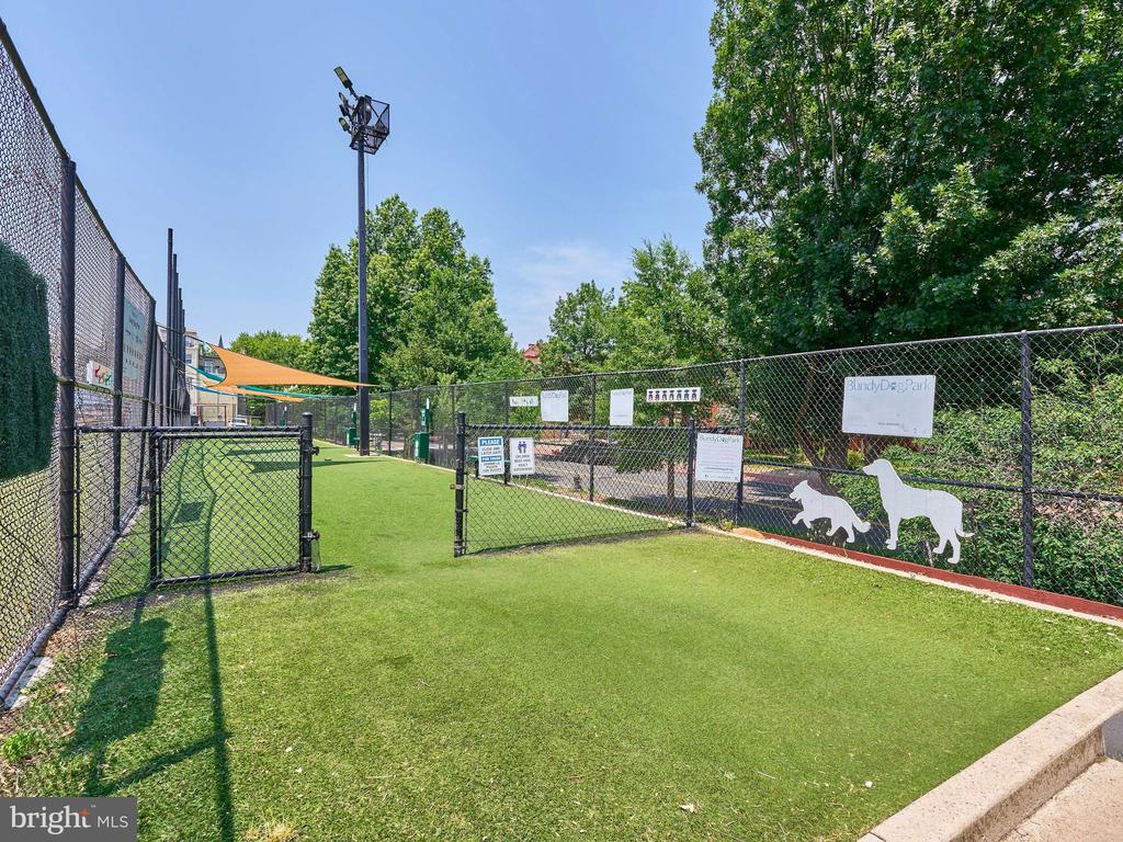 507 P STREET NW 2