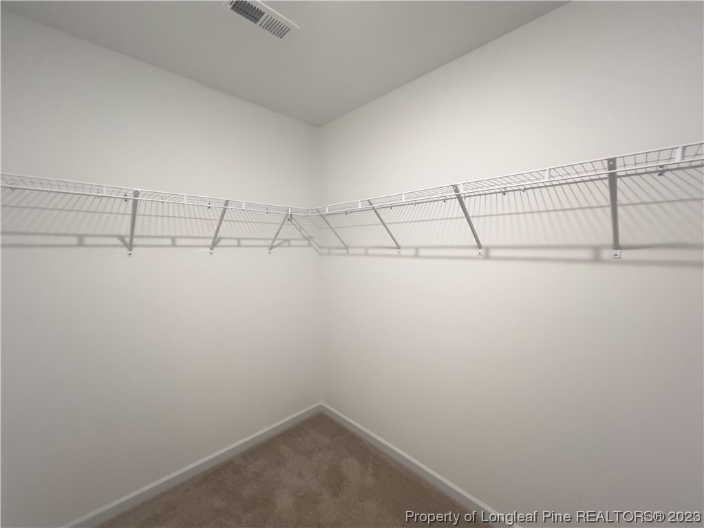24 Terrier Ct (Lot 11) Court