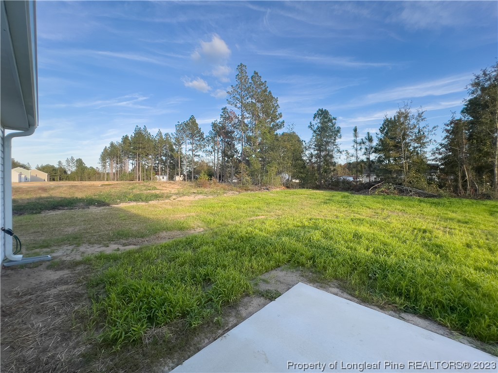 24 Terrier Ct (Lot 11) Court