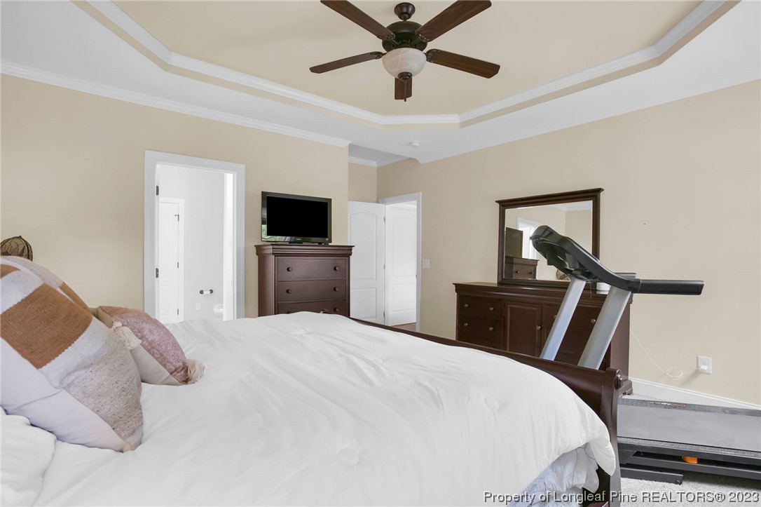 293 Timberline Drive