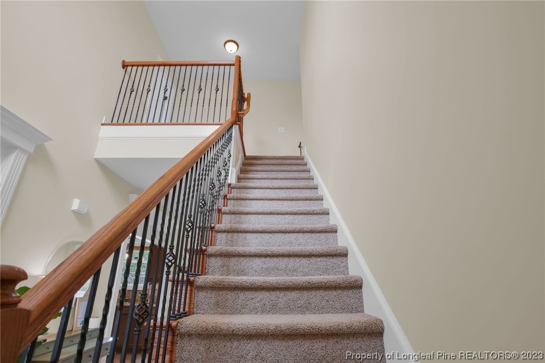 293 Timberline Drive