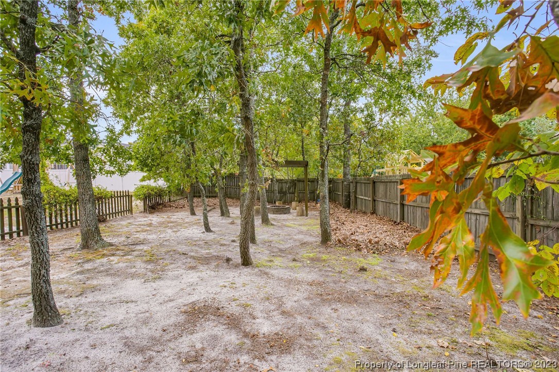 293 Timberline Drive