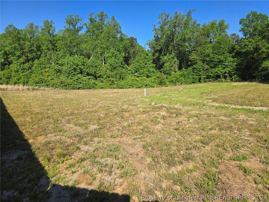 1501 Creekwood (Lot 19) Road