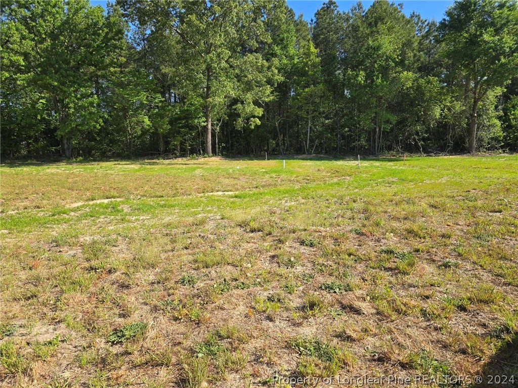1501 Creekwood (Lot 19) Road