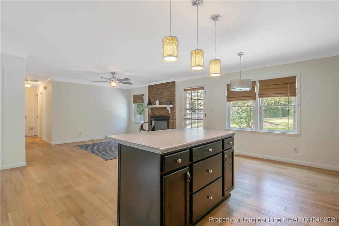 1137 Andrews Road