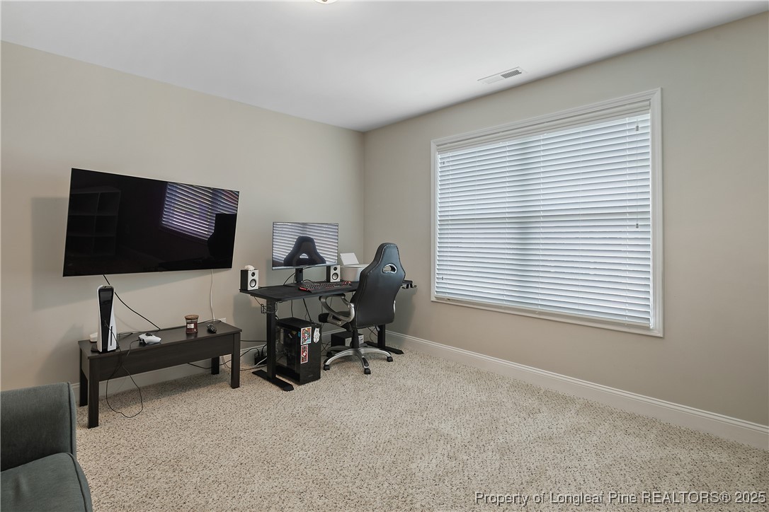 5213 Whiskery Lane