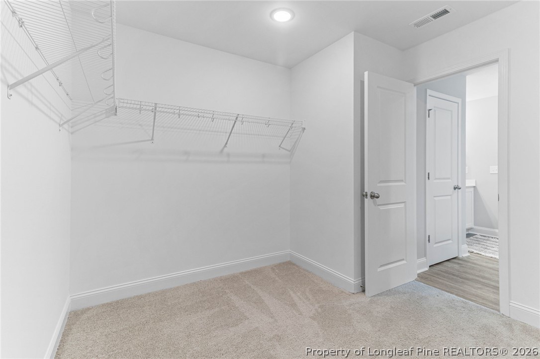 254 Collier Gate Street