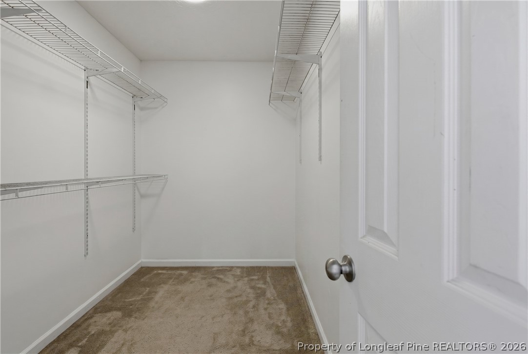 1203 Grackle Drive