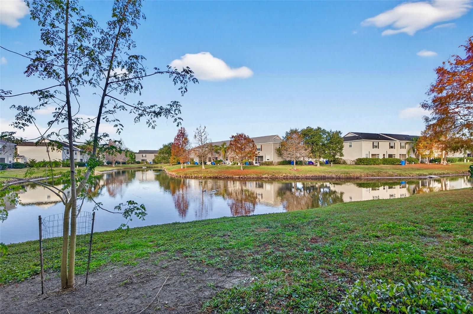 12343 COUNTRY WHITE CIR