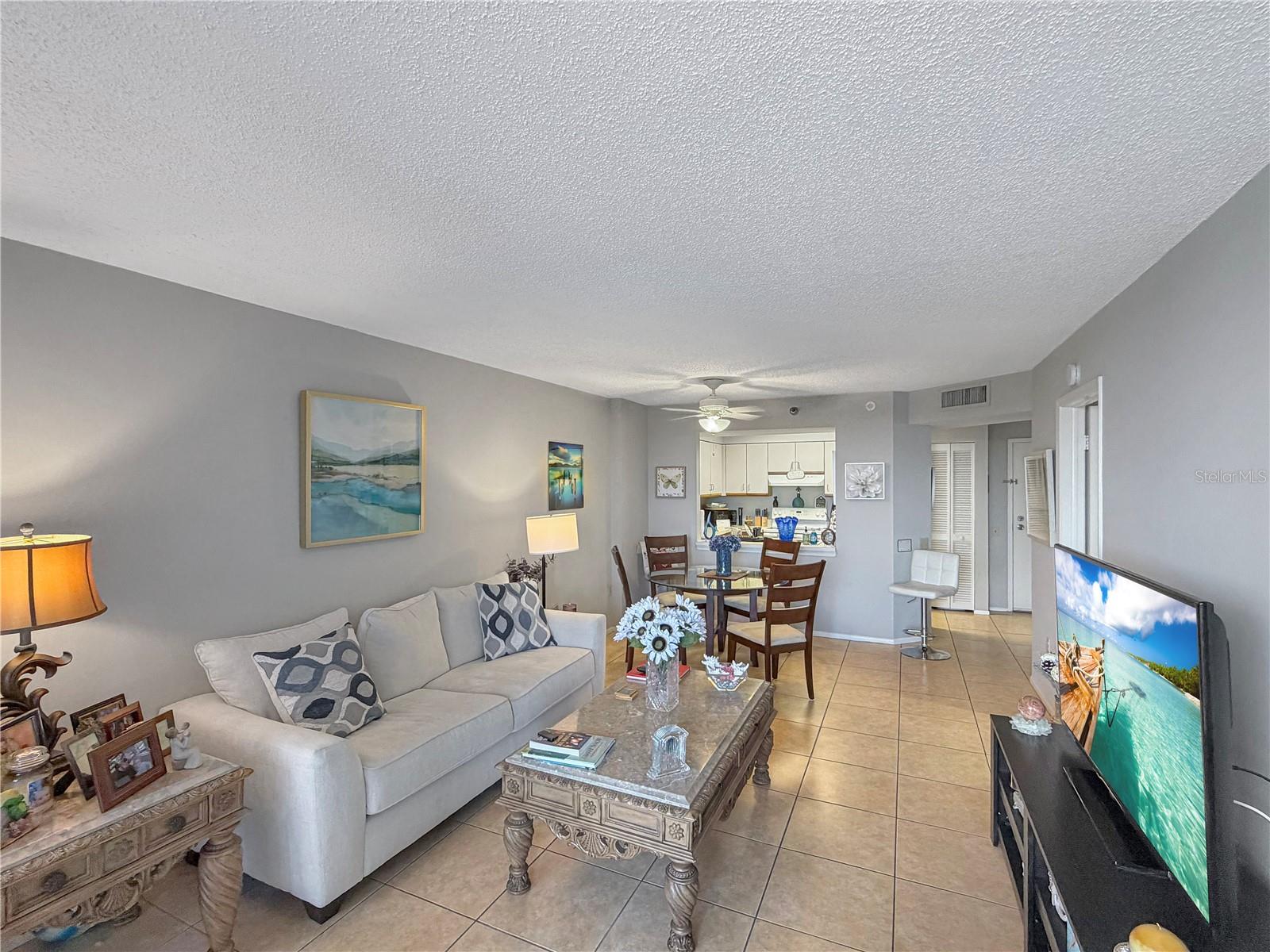 2333 FEATHER SOUND DR #C206