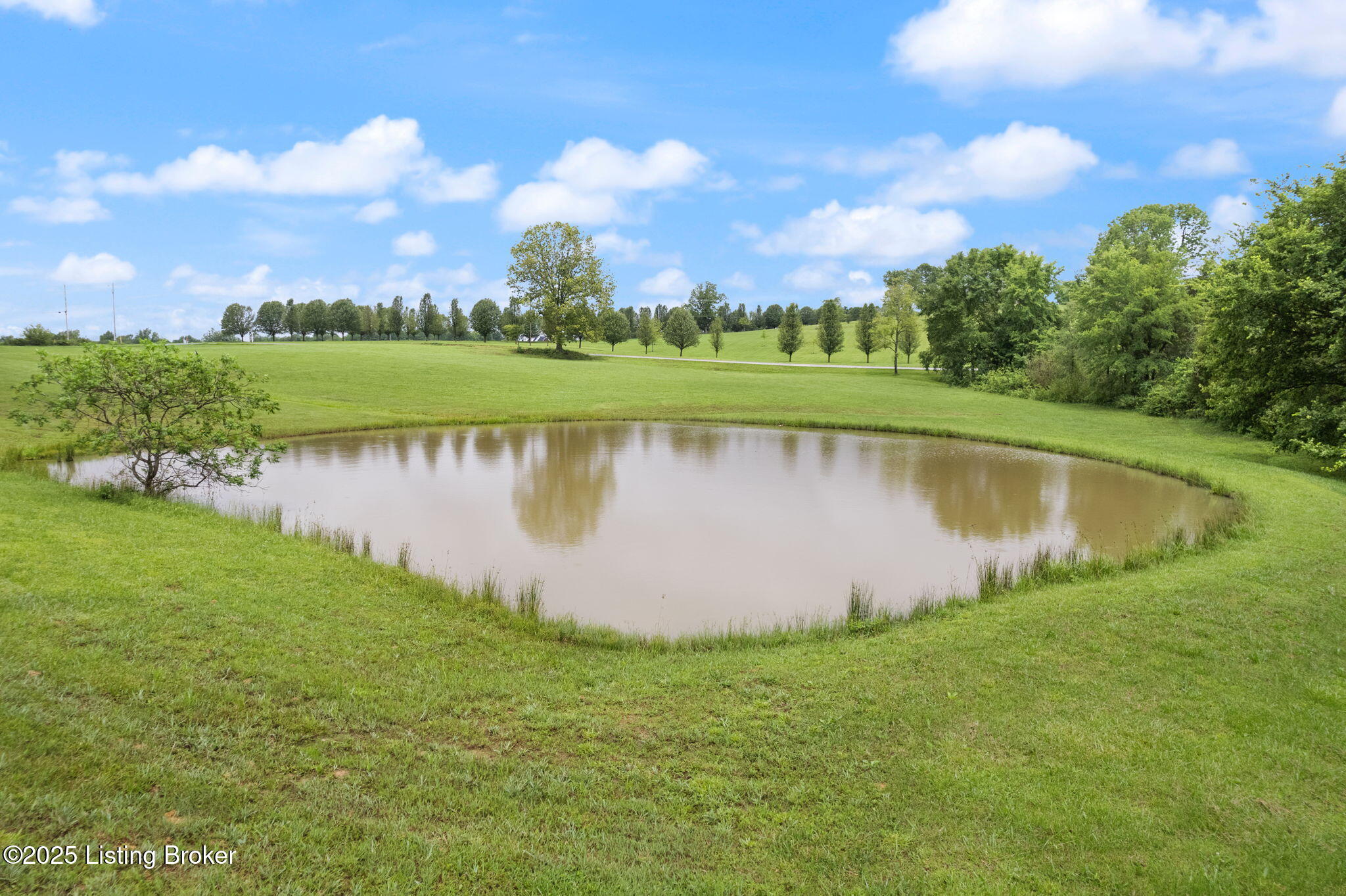 11464 KY Hwy 259 N