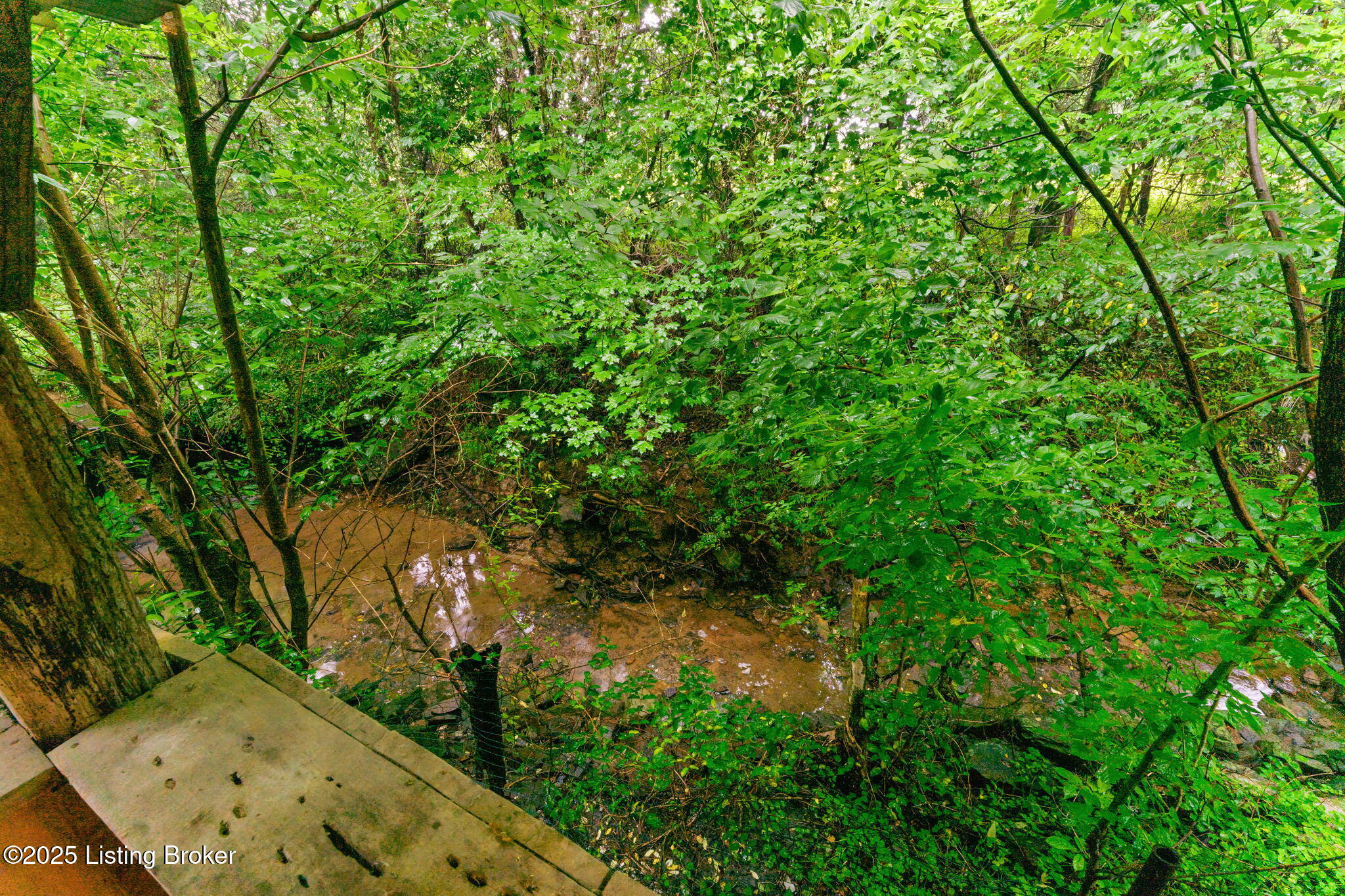 336 Tansy Ln