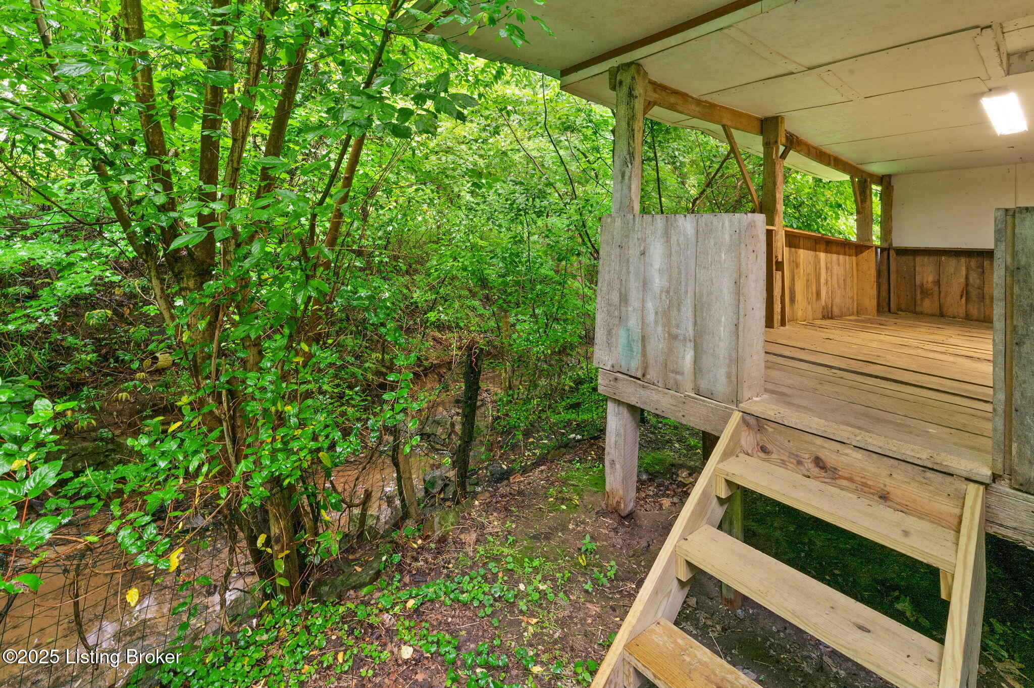 336 Tansy Ln