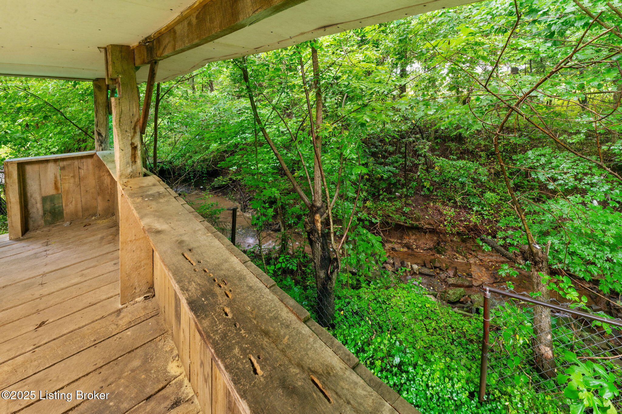 336 Tansy Ln