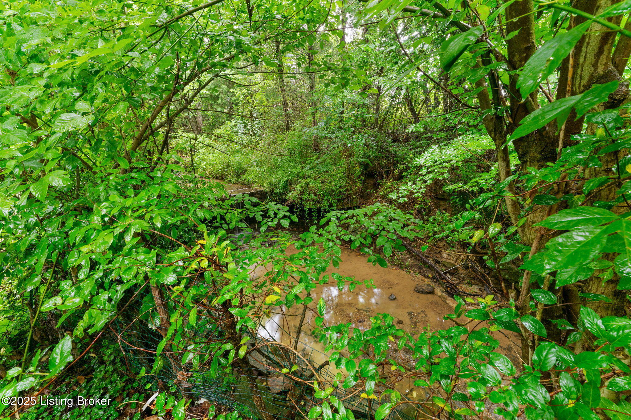 336 Tansy Ln