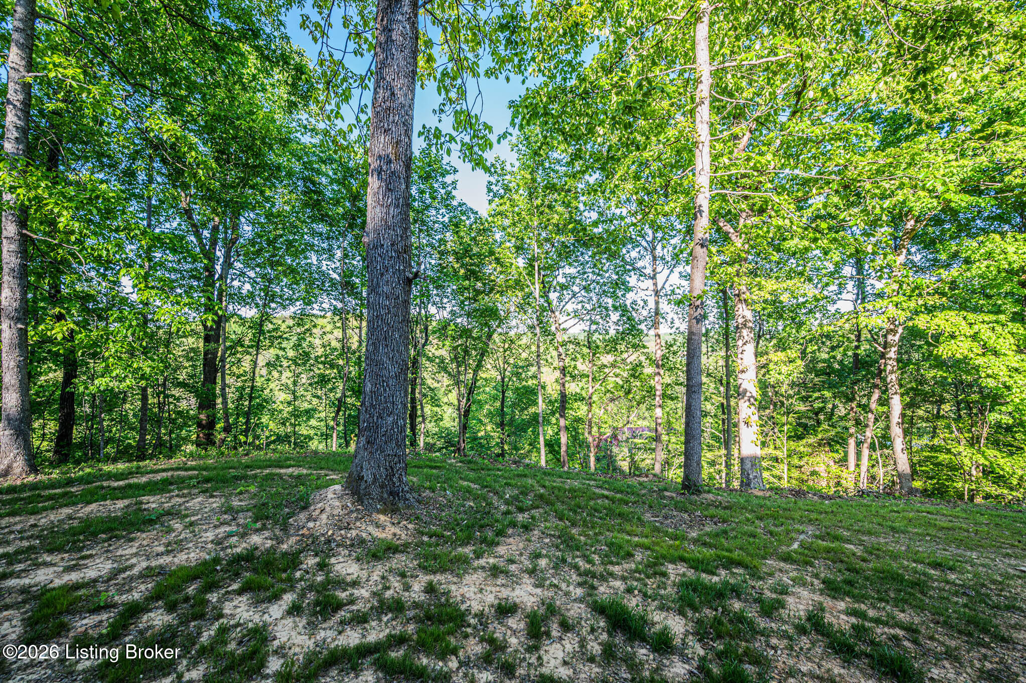 254 Falls Ln