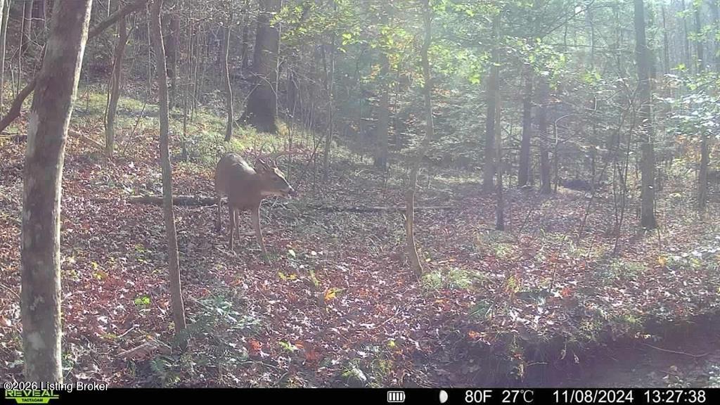 4499 Nolin Dam Rd