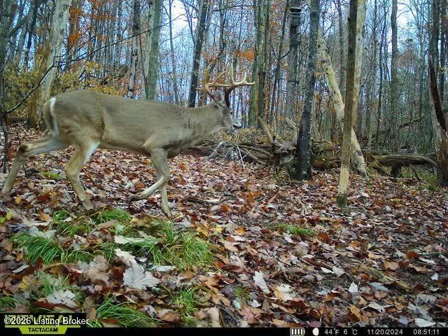 4499 Nolin Dam Rd