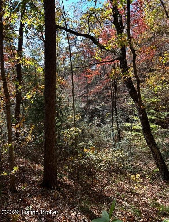 4499 Nolin Dam Rd