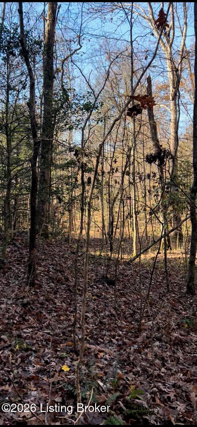 4499 Nolin Dam Rd