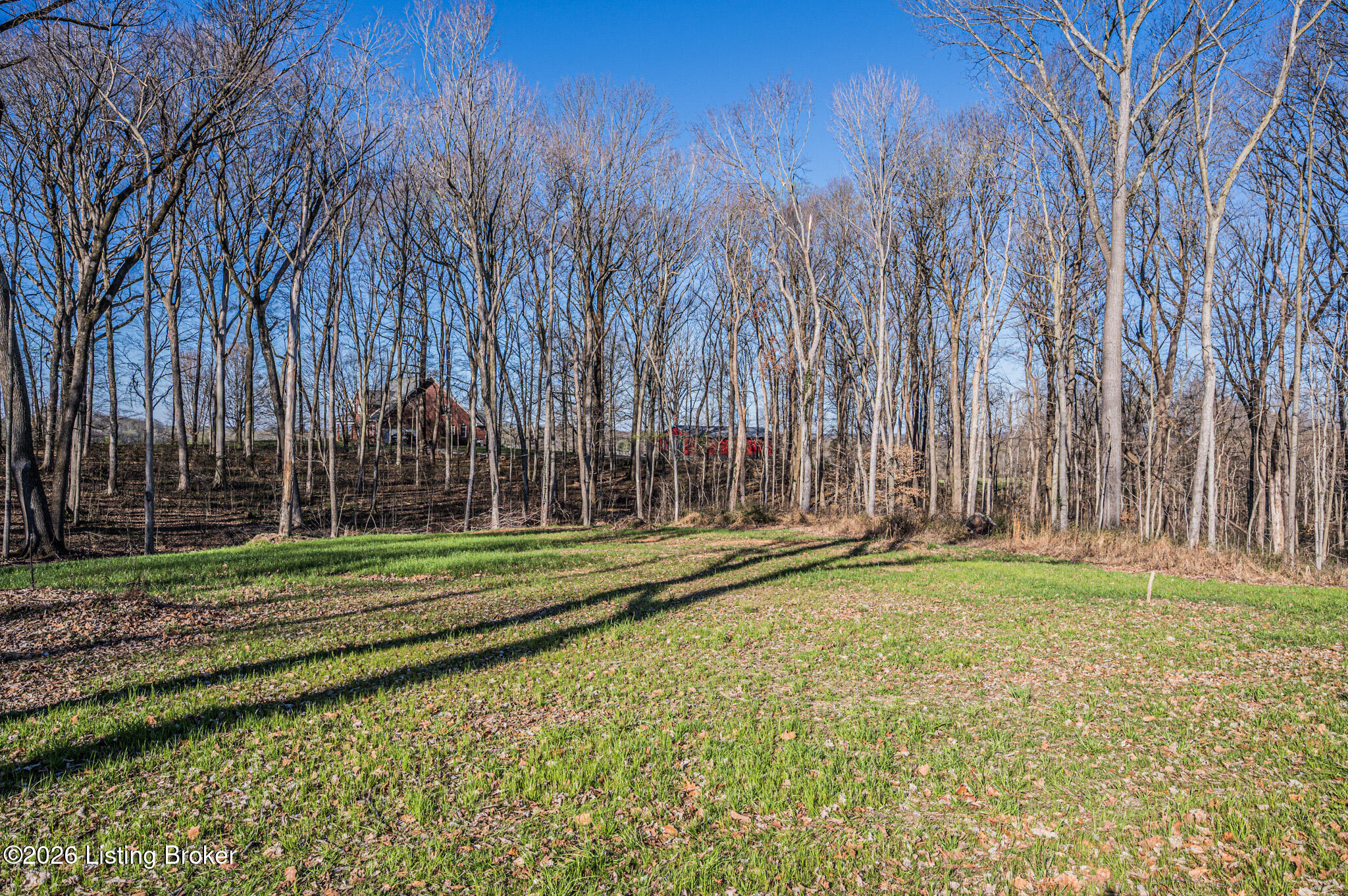 143 Needmore Acres Rd