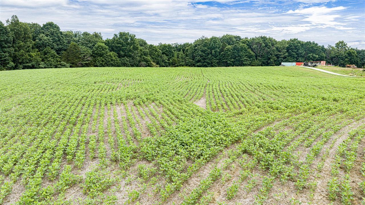 3604 Mount Zion Road