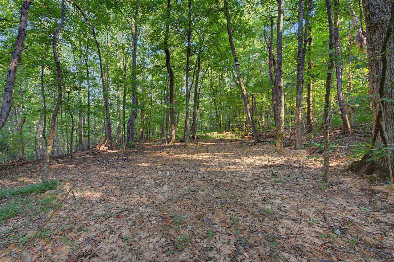 575 Larry Hope Road