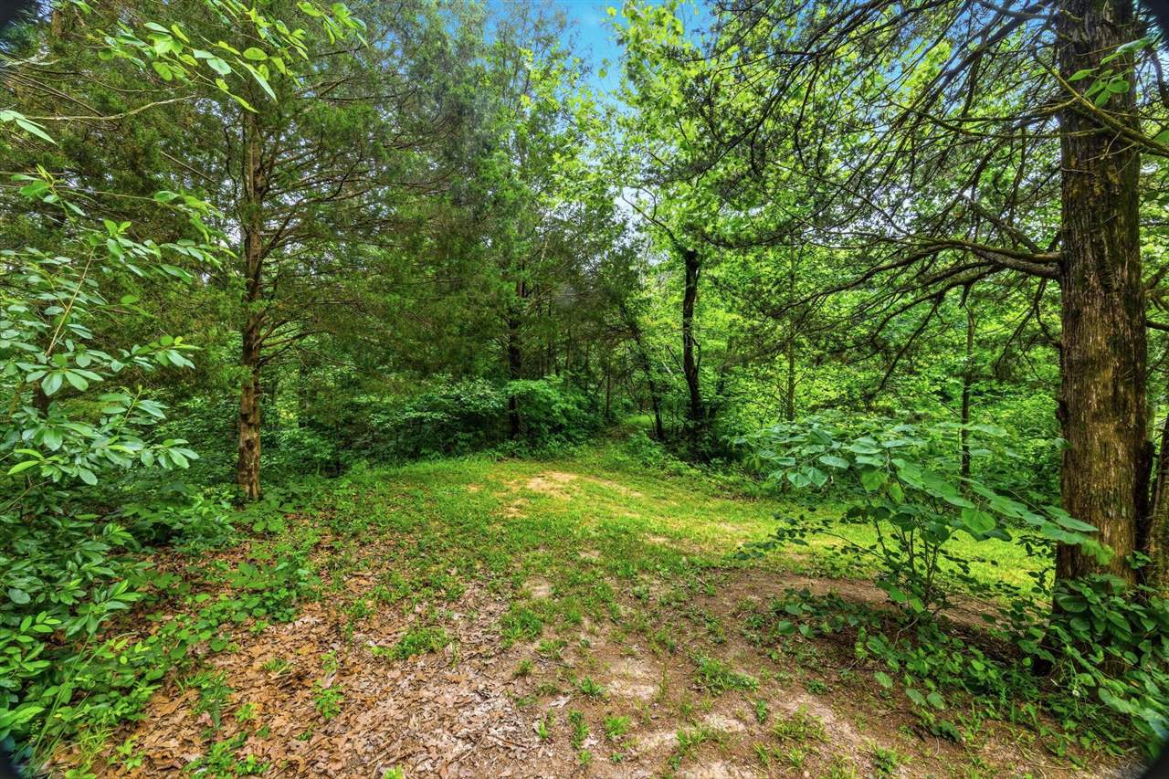 505 Brewster Road