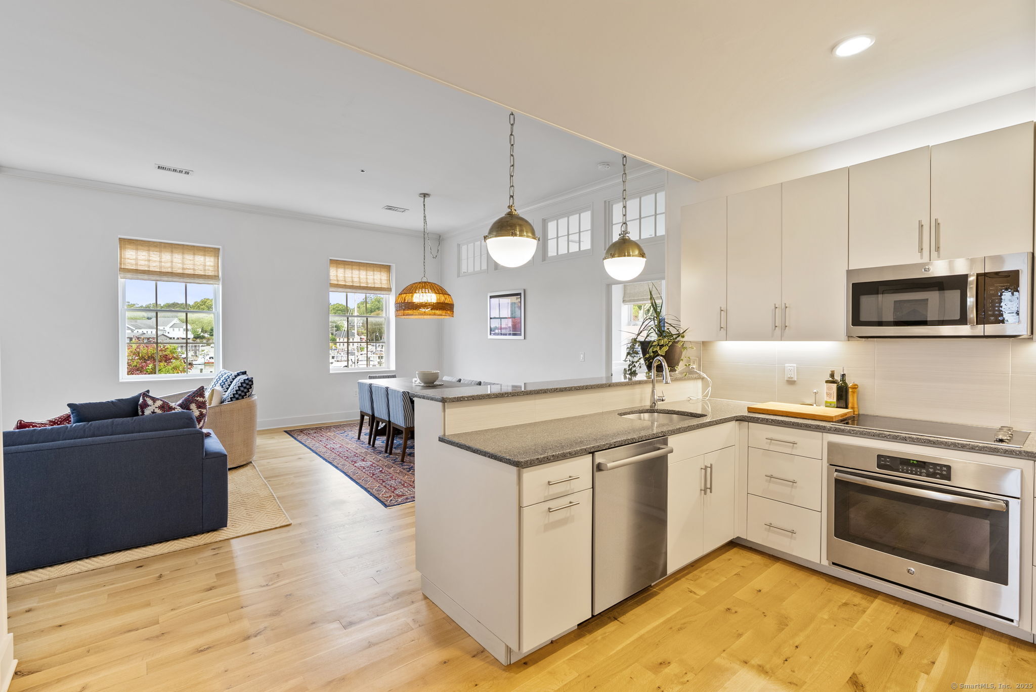 60 Willow Street 205