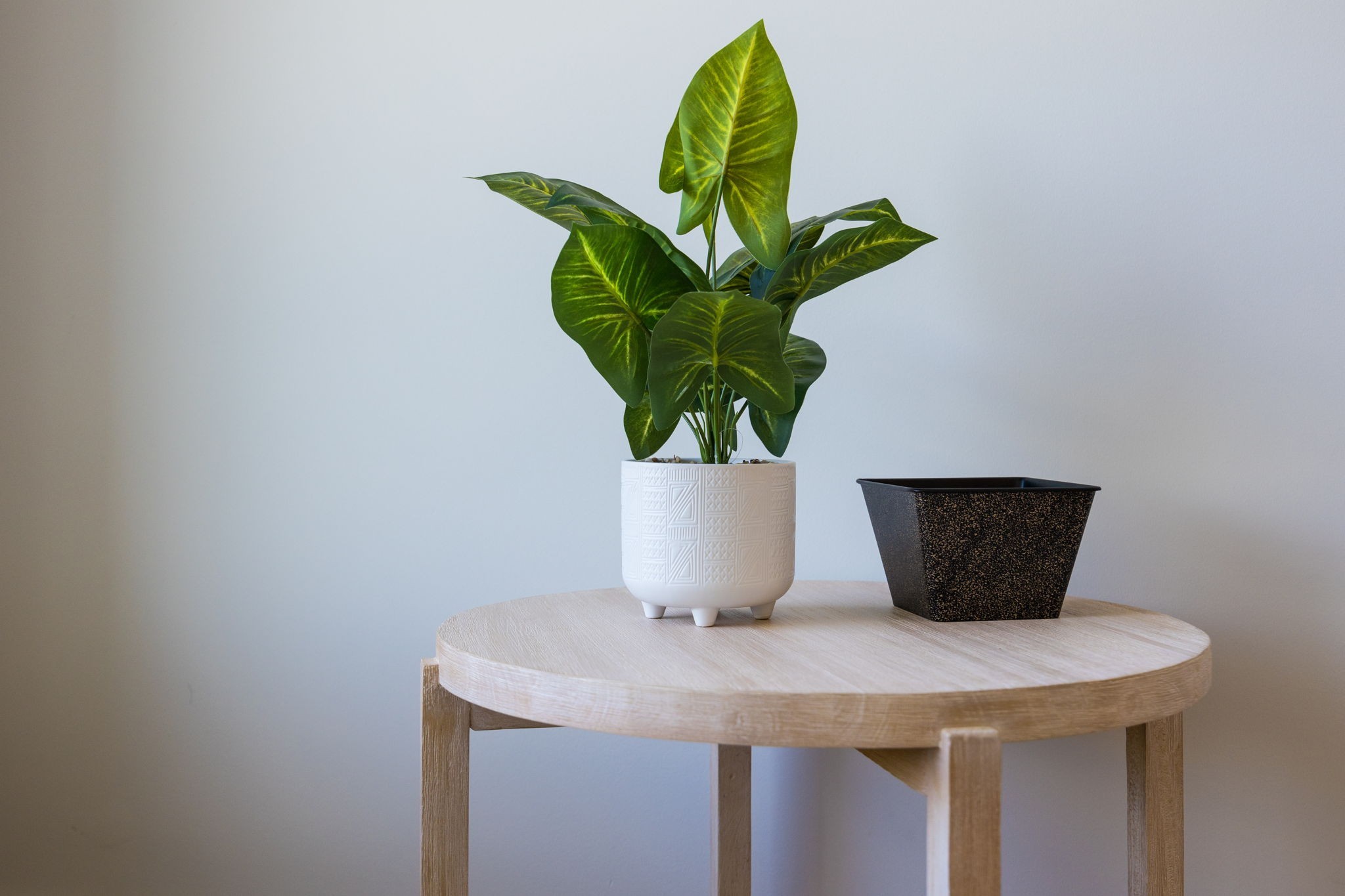 521 Camden Dr Unit: A