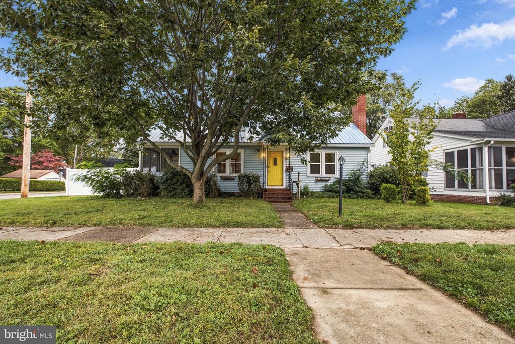 Light-blue house with a yellow front door, metal roof, and large shade tree over the front lawn.