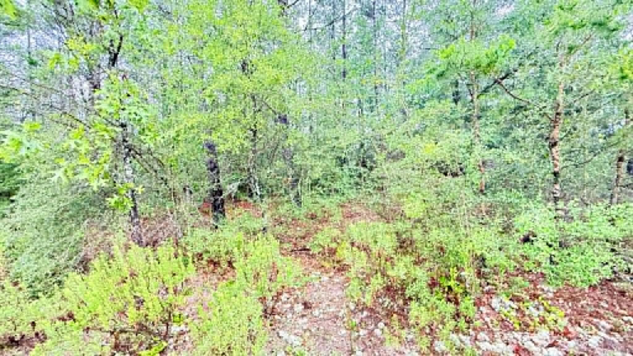 00 E Primrose Avenue, DeFuniak Springs