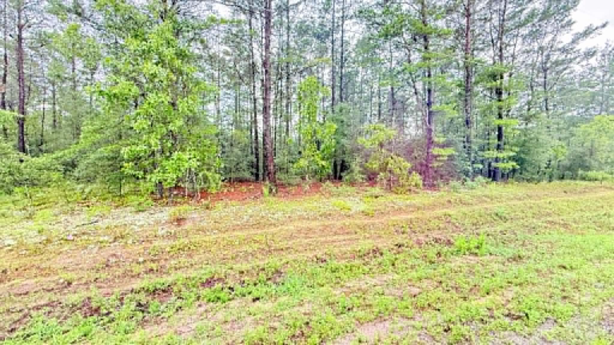 00 E Primrose Avenue, DeFuniak Springs