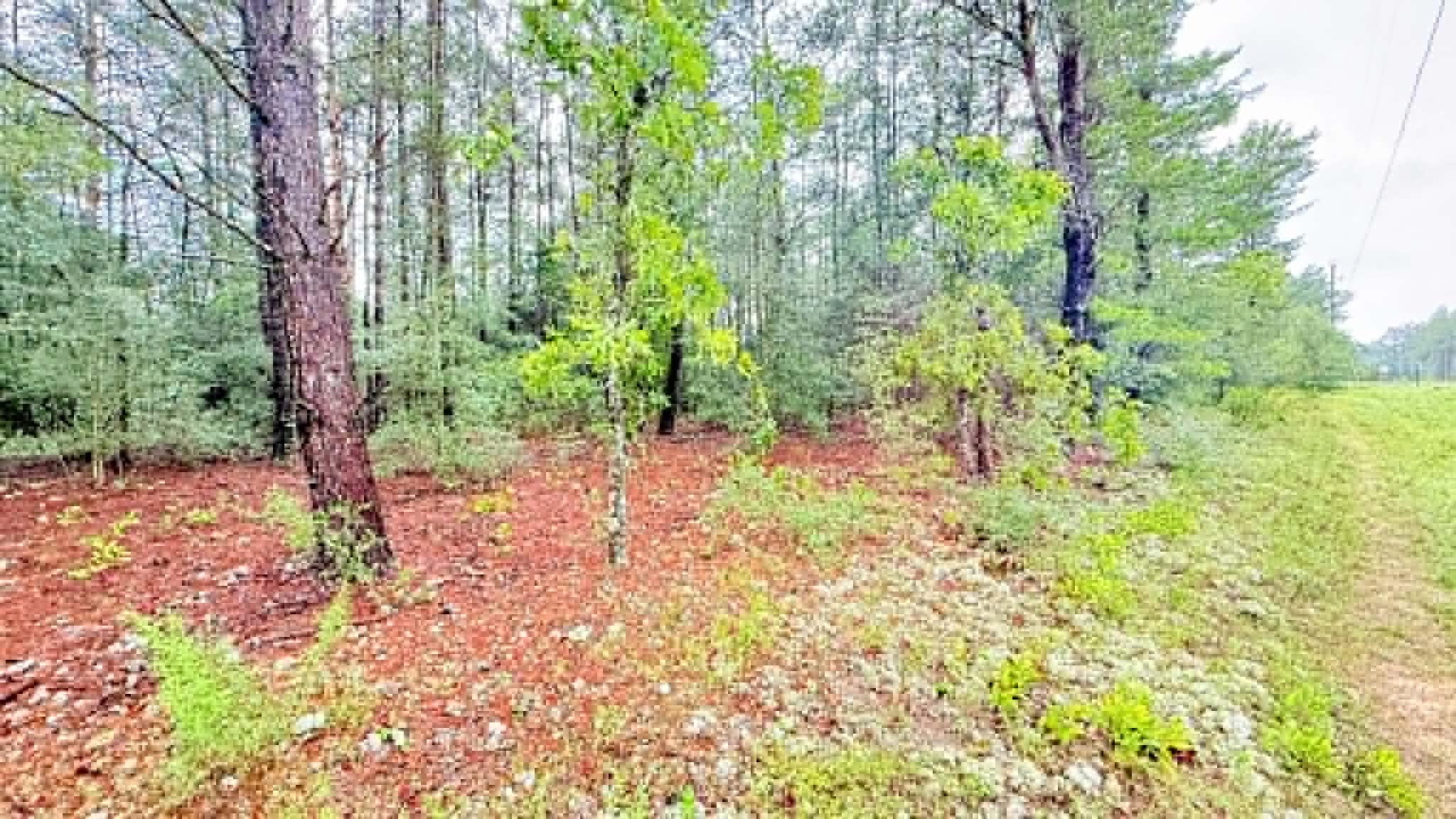 00 E Primrose Avenue, DeFuniak Springs