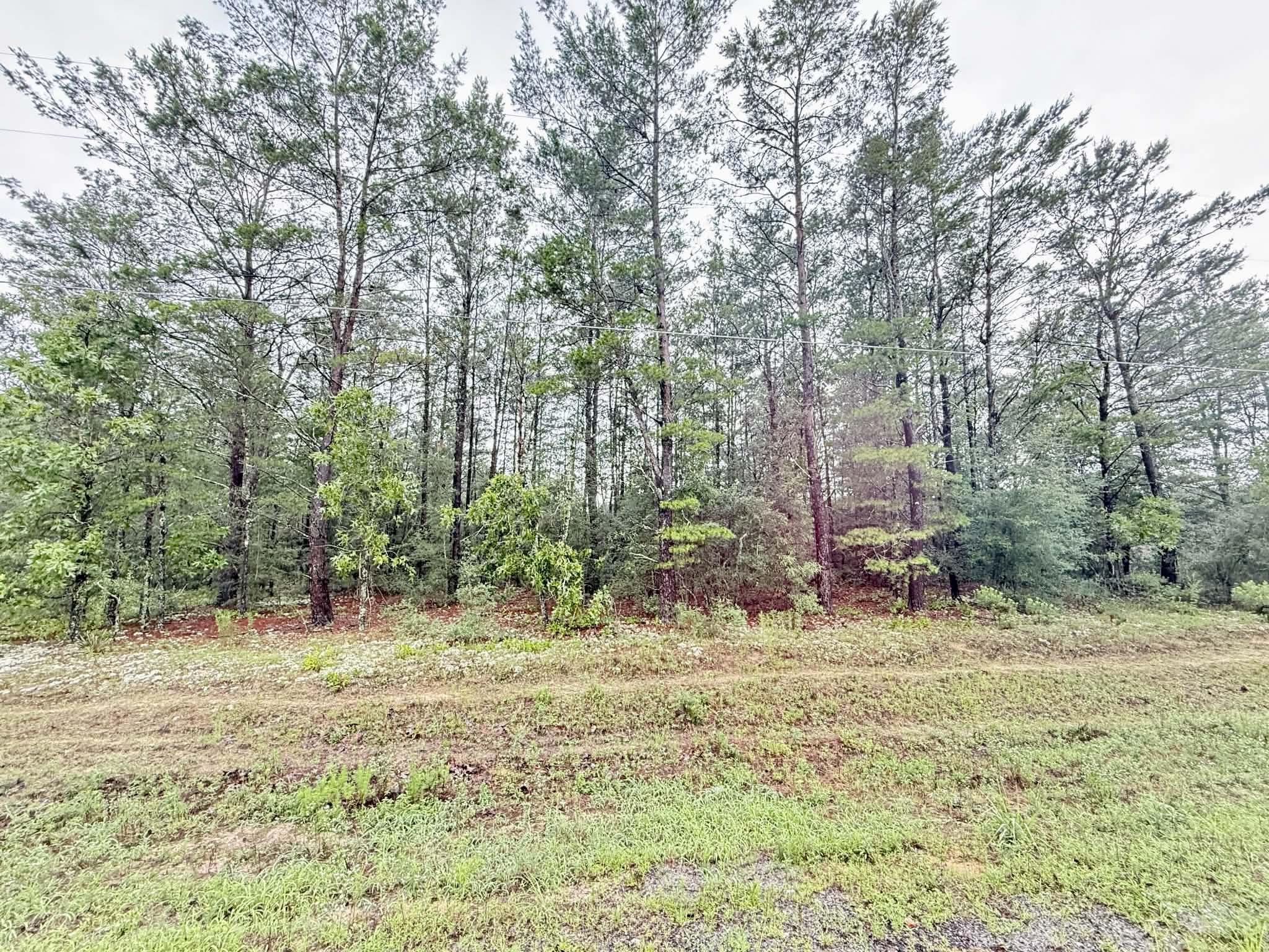 00 E Primrose East Avenue, DeFuniak Springs
