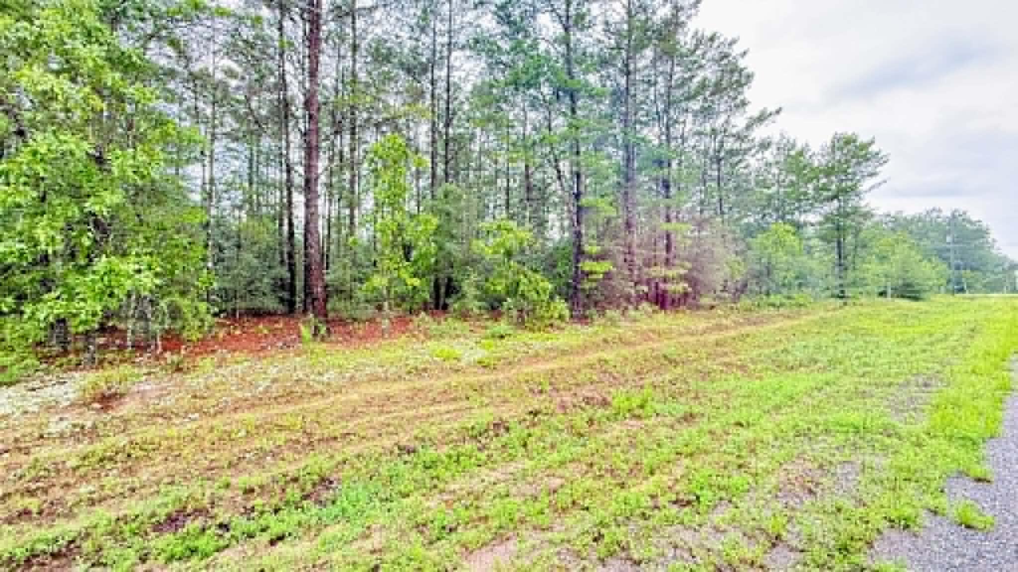 00 E Primrose East Avenue, DeFuniak Springs